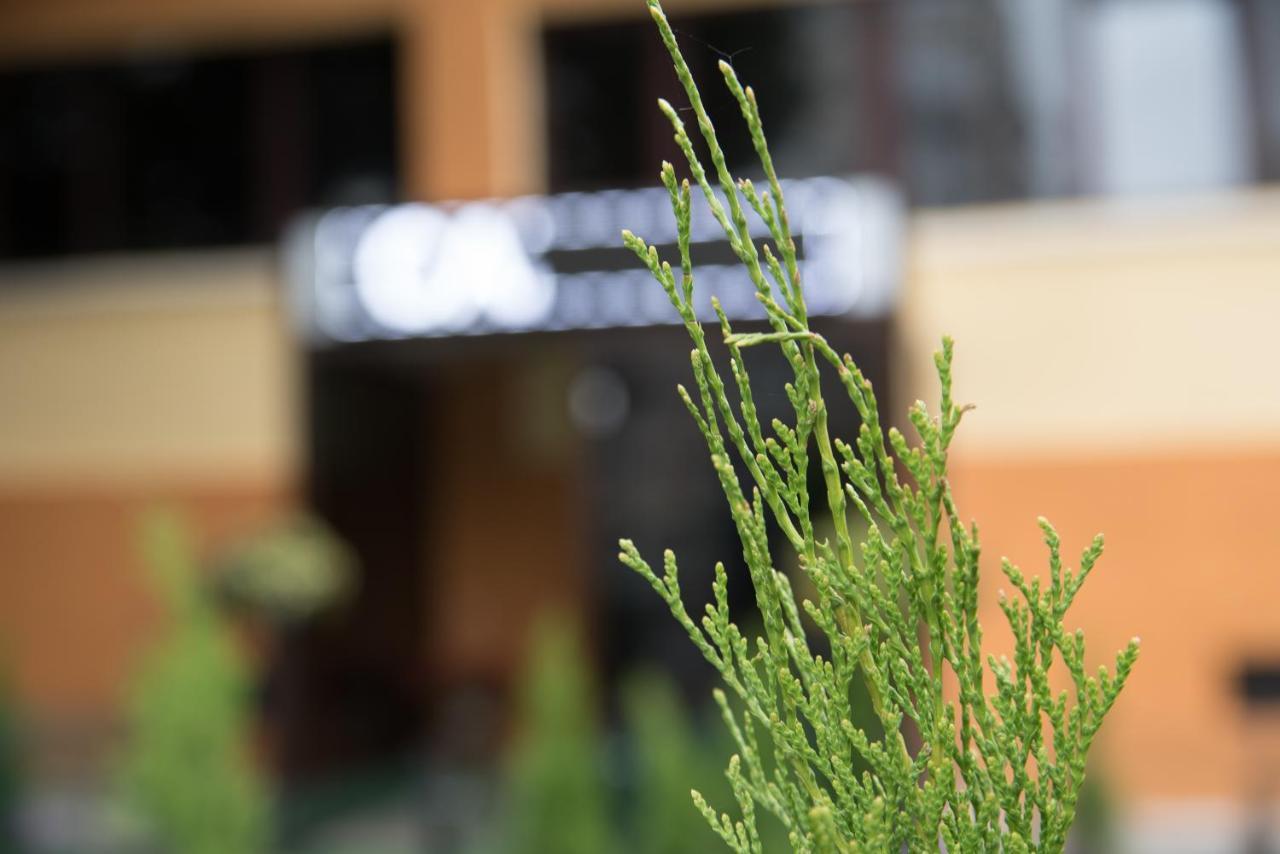 Dream Accommodation Bucureşti Eksteriør bilde
