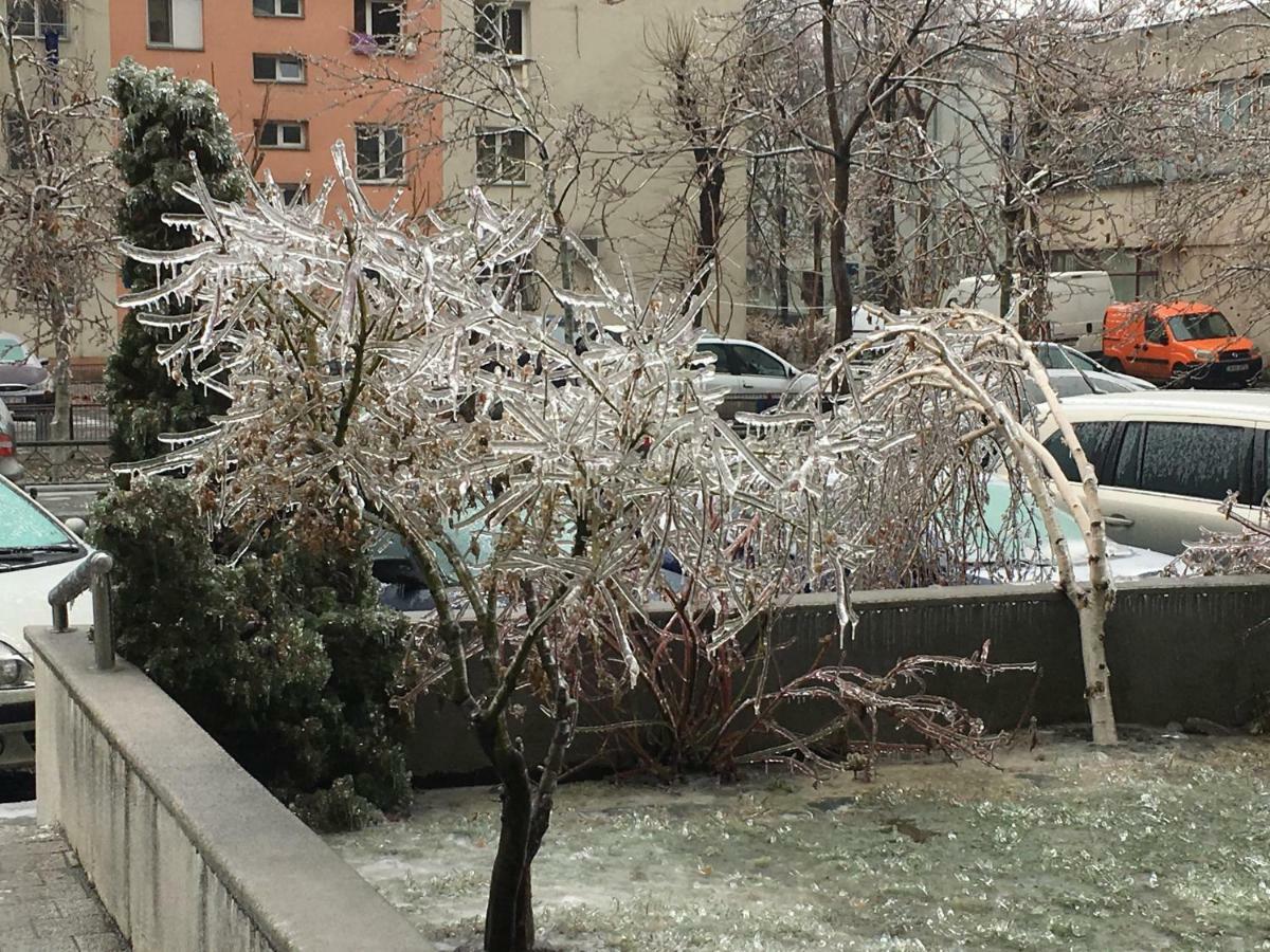 Dream Accommodation Bucureşti Eksteriør bilde